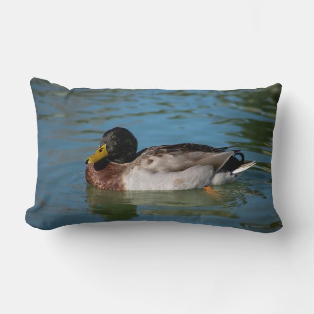Mallard Swimming Lendenkissen (Vorderseite)