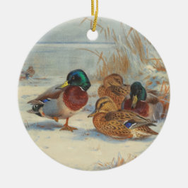 Mallard und aquamarin im Schnee, Vögel Keramik Ornament