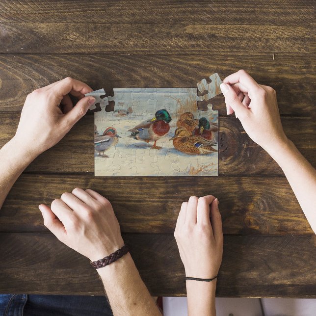 Mallard und aquamarin im Schnee, Vögel Puzzle (Von Creator hochgeladen)