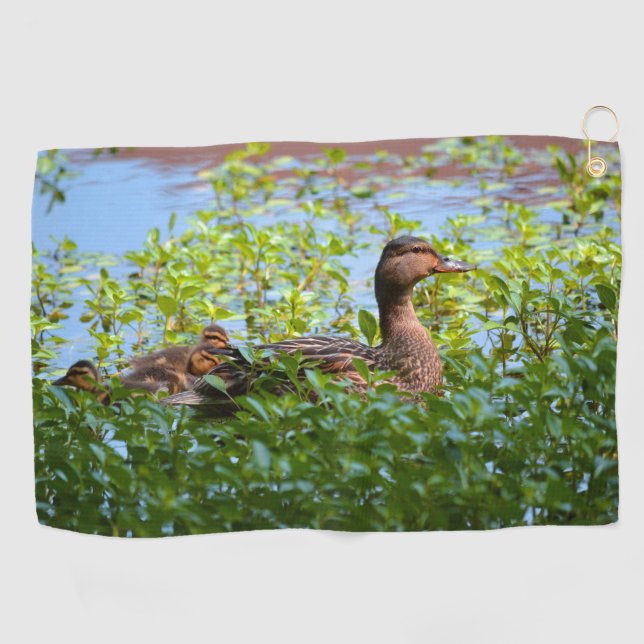 Mallard und Ducklings Swimming by Shirley Taylor Golfhandtuch (Horizontal)