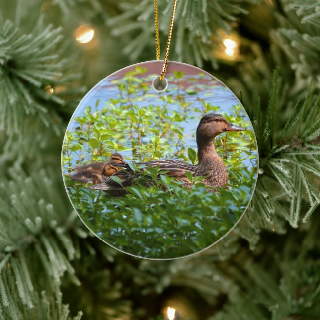Mallard und Ducklings Swimming by Shirley Taylor Keramik Ornament (Baum)