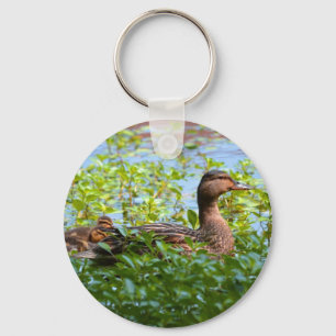 Mallard und Ducklings Swimming by Shirley Taylor Schlüsselanhänger