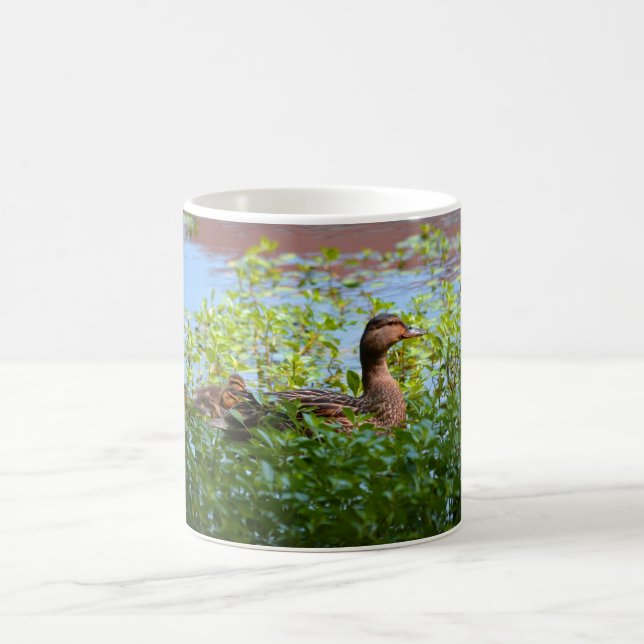 Mallard und Ducklings Swimming by Shirley Taylor Tasse (Mittel)