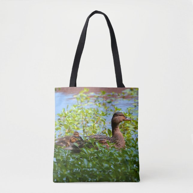 Mallard und Ducklings von Shirley Taylor (Vorderseite)