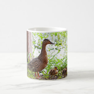 Mallard und Ducklings von Shirley Taylor Tasse