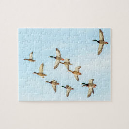 Mallardenflug Puzzle