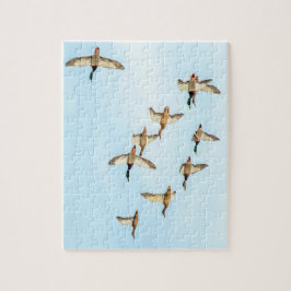 Mallardenflug Puzzle