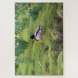 Mallardente am Ufer eines Flusses Puzzle