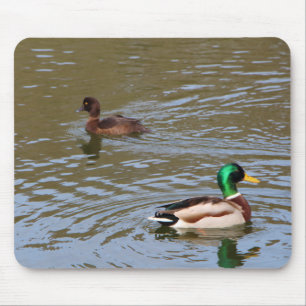 Mallardente und getuftete Ente auf einem Fluss Mousepad
