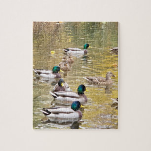 Mallards am Teich Puzzle