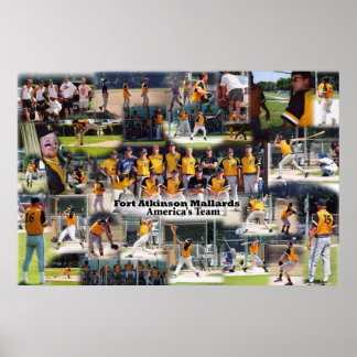 Mallards Collage Poster