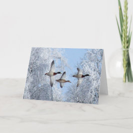 MALLARDS DUCK Note Card
