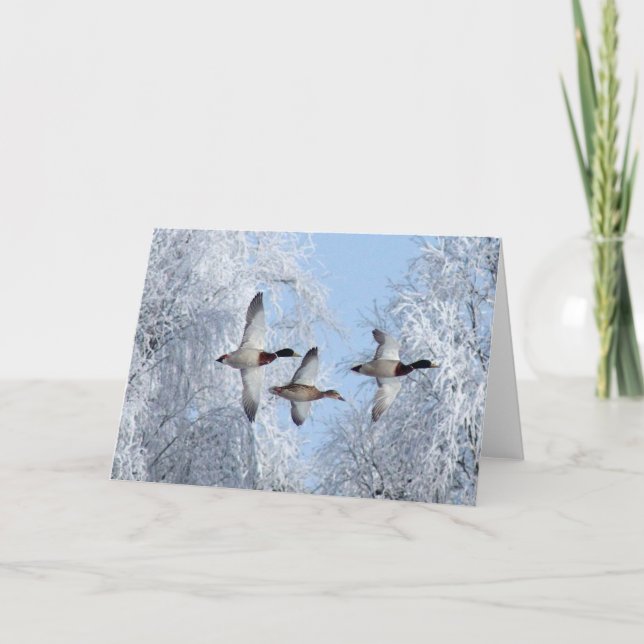 MALLARDS DUCK Note Card (Vorderseite)