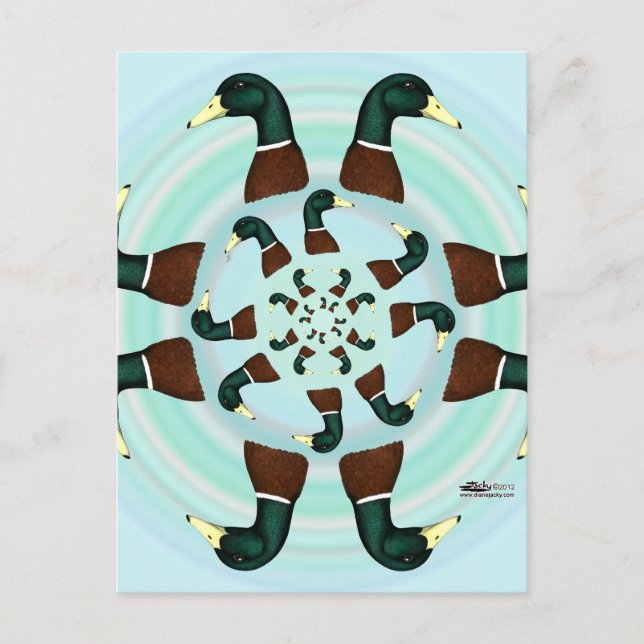 Mallards Galore! Postkarte (Vorderseite)