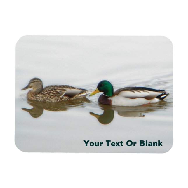 Mallards Magnet (Horizontal)