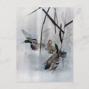 Mallards und Reeds, Watanabe Seitei Postkarte