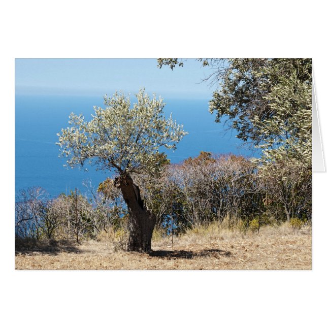 Mallorca (Vorderseite (Horizontal))