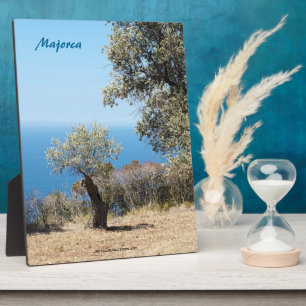 Mallorca Fotoplatte
