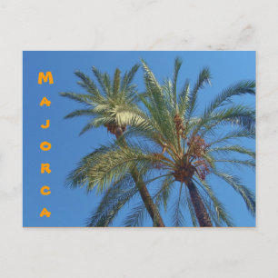 Mallorca Palms - Postkarte