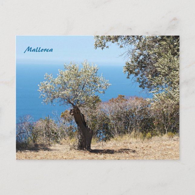 Mallorca Postkarten (Vorderseite)