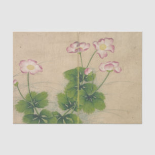 Mallow Blume von Zhang Ruoai Seidenpapier