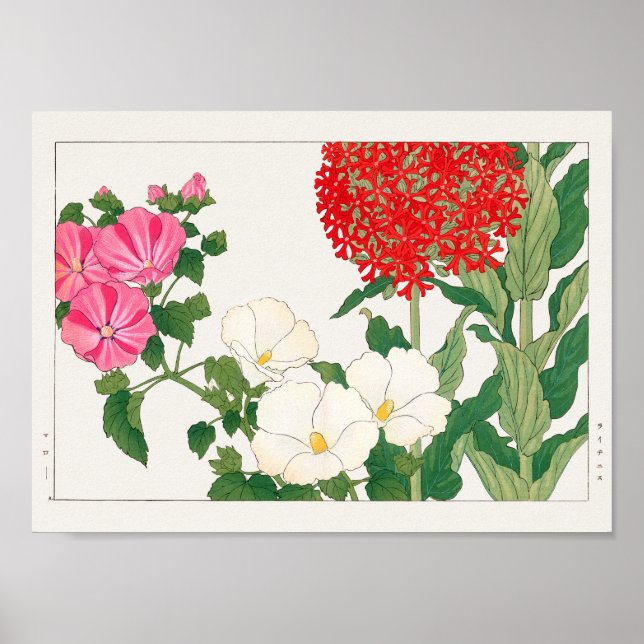 Mallow, Centranthus by Tanigami Konan Poster (Vorne)