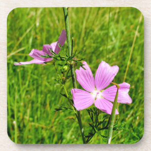 Mallow Getränkeuntersetzer