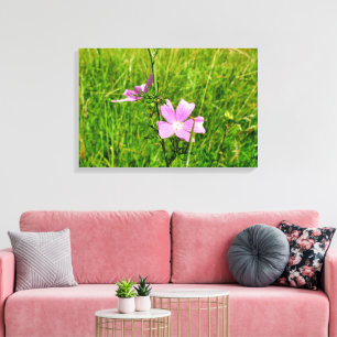 Mallow Leinwanddruck