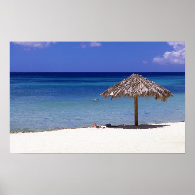 Malmok Beach, Aruba, Niederländische Antillen Poster (Vorne)