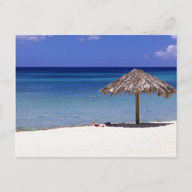 Malmok Beach, Aruba, Niederländische Antillen Postkarte (Vorderseite)