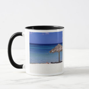 Malmok Beach, Aruba, Niederländische Antillen Tasse