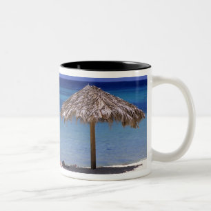 Malmok Beach, Aruba, Niederländische Antillen Zweifarbige Tasse