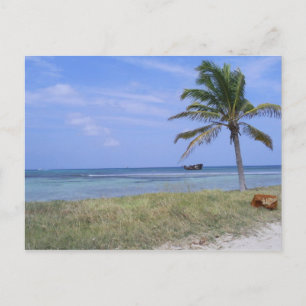Malmok Beach in Aruba Postcard Postkarte