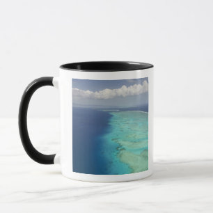 Malolo Barrier Reef vor Malolo Island, Fiji Tasse