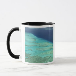 Malolo Barrier Reef vor Malolo Island, Fiji Tasse