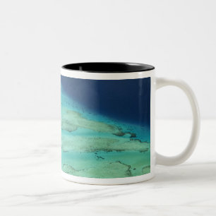 Malolo-Barriereriff vor Malolo Island, Fidschi Zweifarbige Tasse