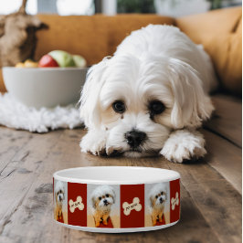 Malshi Dog Bowl mit Bone Maroon Napf