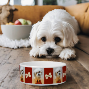 Malshi Dog Bowl mit Bone Maroon Napf