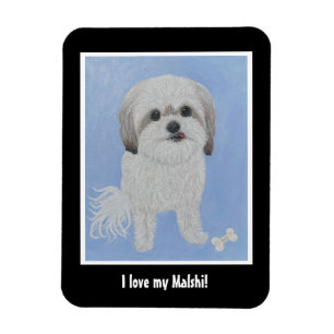 Malshi Dog Flexible Foto Magnet