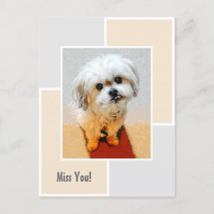 Malshi Dog Miss You Postcard Postkarte