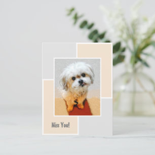 Malshi Hund Vermisst Dich Postkarte