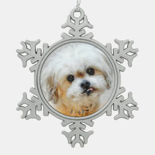 Malshi-Schneeflocke Schneeflocken Zinn-Ornament