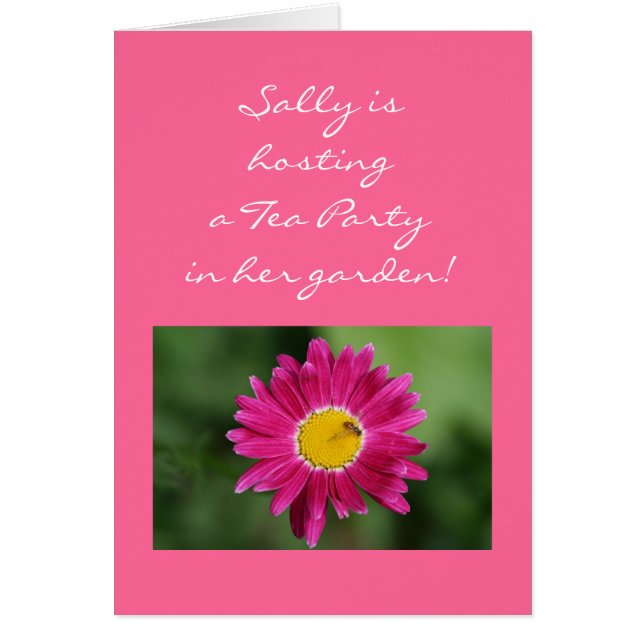 Malte Daisy Cards und mehr (Vorne)