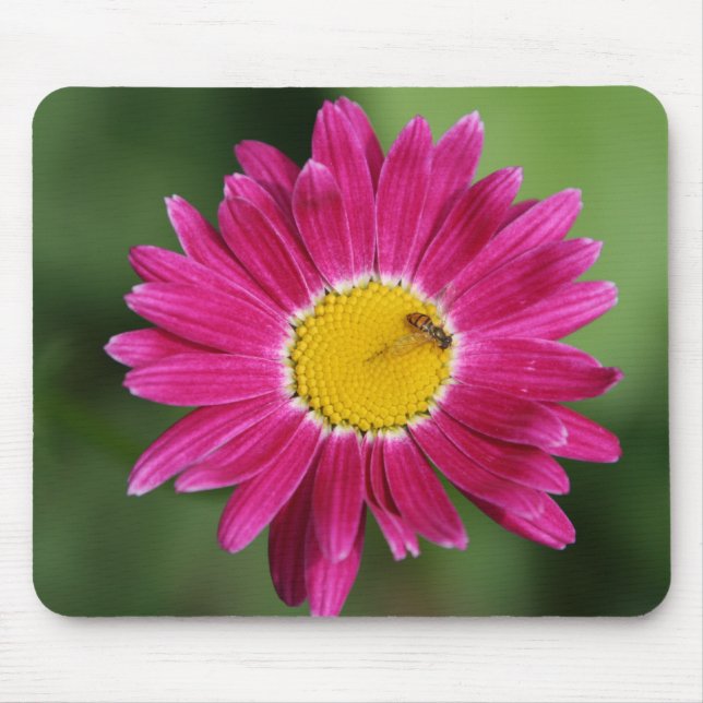 Malte Daisy Cards und mehr Mousepad (Vorne)
