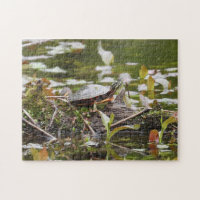 Malte Schildkröte beim Log in Pond