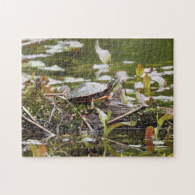 Malte Schildkröte beim Log in Pond Puzzle (Horizontal)