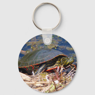 Malte Schildkröte (Chrysemys picta) 3 Schlüsselanhänger