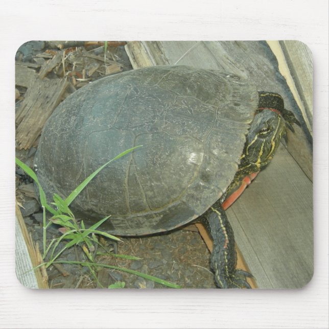 Malte Schildkröte (Chrysemys picta) Mousepad (Vorne)