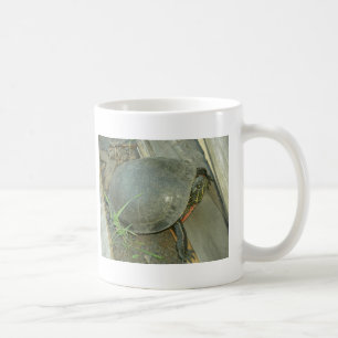 Malte Schildkröte (Chrysemys picta) Tasse