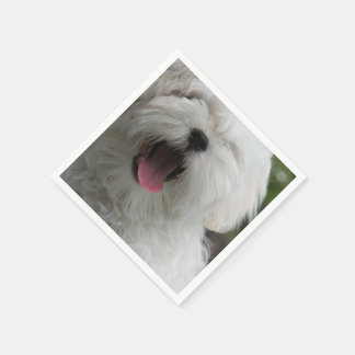 maltese-2 serviette